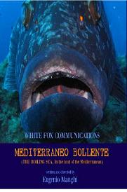 locandina di "Mediterraneo Bollente"