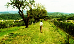 Note di regia del film 