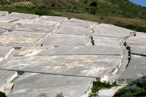 Torino Film Festival 2008: Il terremoto del Belice in 