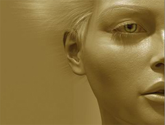 I premi della 16. Edizione di 