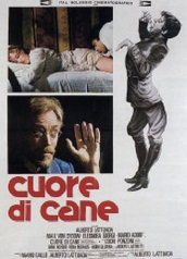 Successo per 