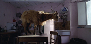 Al via la prima edizione del ViaEmili@DocFest