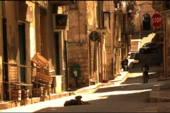 Tre documentari italiani al World Film: Tartu Festival of Visual Culture 2011