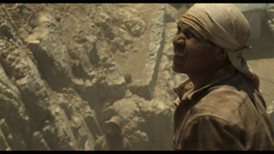 Bellaria Film Festival 2011: 