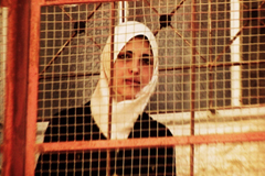 Bellaria Film Festival 2011: Trionfa 