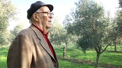 PREMIO MARIO GALLO Un grande evento in ricordo di De Seta