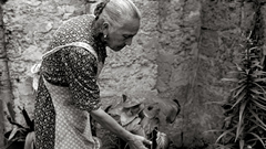 CECILIA MANGINI - Una serata dedicata ai suoi documentari