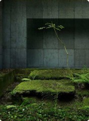 Duplice Paesaggio, una rassegna cinematografica a Palazzo Tornielli