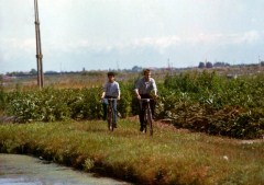 IL SAPORE DEL GRANO - Una riscoperta italiana dagli 80