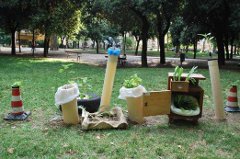 GOD SAVE THE GREEN - Dal 7 marzo in sala, dal 21 marzo in libreria