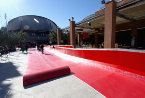 FESTIVAL DI ROMA 8 - Il convegno EUROPA CREATIVA (2014  2020): il Programma UE per il settore culturale e creativo
