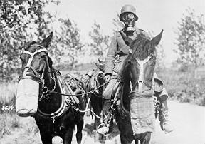 ANIMALI NELLA GRANDE GUERRA - Al cinema dal 15 maggio