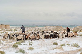 Note di produzione de 