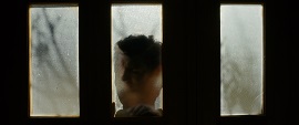 Trieste Film Festival 27 - 