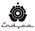 INDYCA - Tra documentari e finzione, aspettando Ibra