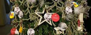 Natale al Museo Nazionale del Cinema di Torino