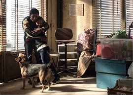 CANNES 71 - Il Palm Dog a Jack di 