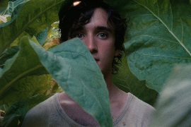 LAZZARO FELICE - La favola sospesa di Alice Rohrwacher