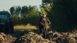 VENEZIA 75 - Il Premio CICT-UNESCO Enrico Fulchignoni a 