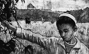 FILM FESTIVAL DIRITTI UMANI LUGANO V - Una mostra su Simone Massi e 