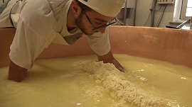 LATTE NOSTRO - In anteprima al Terra Madre - Salone del Gusto