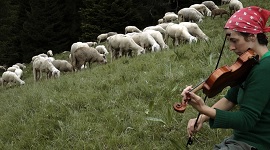 TFF36 - IN QUESTO MONDO, le donne e la pastorizia
