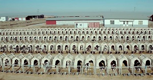 THE MILK SYSTEM - Torna al cinema dopo lesposto di Coldiretti e Assolatte