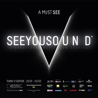 SEEYOUSOUND TORINO V - Network di festival di cinema a carattere musicale