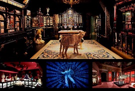 WUNDERKAMMER - Le sale UCI