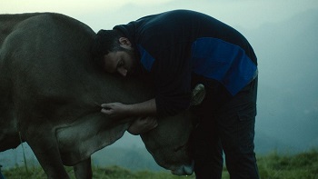 VENEZIA 76 - 