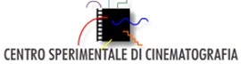 CINETECA NAZIONALE - Paolo Cherchi Usai  il nuovo direttore