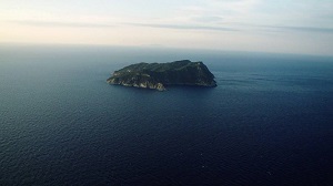 ISCHIA FILM FESTIVAL 18 - Tra i film fuori concorso tagliatori di teste, isole-carcere e senzatetto attori