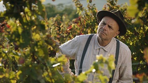 FROM THE VINE - Venduto da Minerva Pictures conquista il box office neozelandese