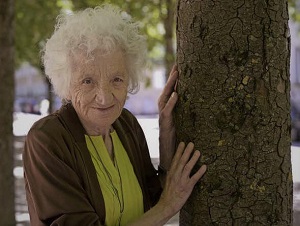 NASTRI D'ARGENTO - I finalisti tra i documentari