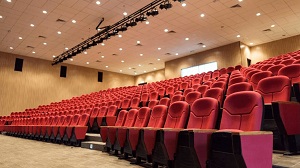 AFIC - Le Attivita' Digitali dei Festival Cinematografici Italiani