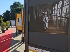 VENEZIA 78 - Al Lido la mostra 