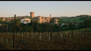 MENTE LOCALE 8 - In anteprima il documentario 