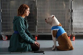 BLANCA - 5.377.000 telespettatori per la seconda parte su Rai1