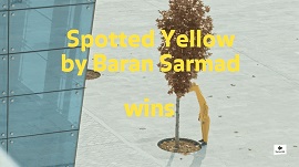 LOCARNO SHORTS WEEKS 4 - Vince 