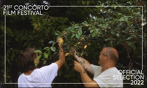 CONCORTO FILM FESTIVAL 21 - I vincitori