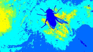 ORTO DEL MONDO 3 - Il laboratorio ad Alteto e Cetona