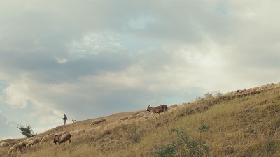 CINEMAMBIENTE 28 - Il programma di venerd 6 giugno