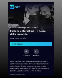 FALCONE E BORSELLINO  IL FUOCO DELLA MEMORIA - Share dell'8,8%