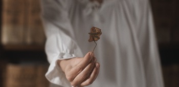 L'ECO DEI FIORI SOMMERSI - Proiezioni a Lisbona, Bologna Ortigia, Avellino, LAquila e Napoli