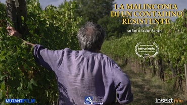 LA MELANCONIA DI UN CONTADINO RESISTENTE - Il 20 novembre su Rai 3 il documentario sullAzienda Agricola Paterna con Marco e Tamara