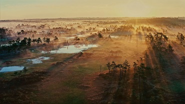 CHOOSE EARTH - Dal 10 dicembre su Amazon Prime Video