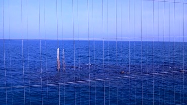 DISORGANICO - Il cortometraggio di Flavio Sciol� al Lift-Off festival