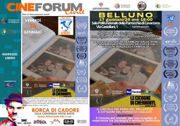 LE CICOGNE DI CHERNOBYL - Due proiezioni nel Bellunese nell�anno del 40� anniversario del disastro (1986�2026)