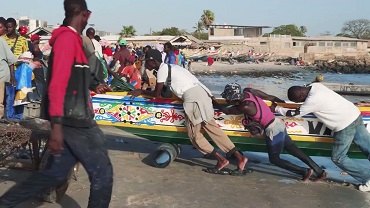 LA ROTTA DELLE MANGROVIE - Il 28 gennaio proiezione al Cinema Astra di Firenze