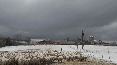 TRIESTE FILM FESTIVAL 37 - 